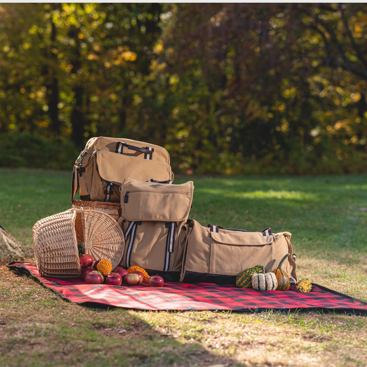 Backcountry Insulated Blanket – InTandem Promotions