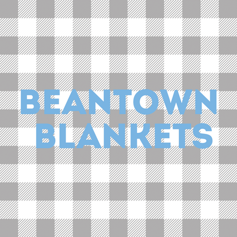 Mini Beantown Blanket