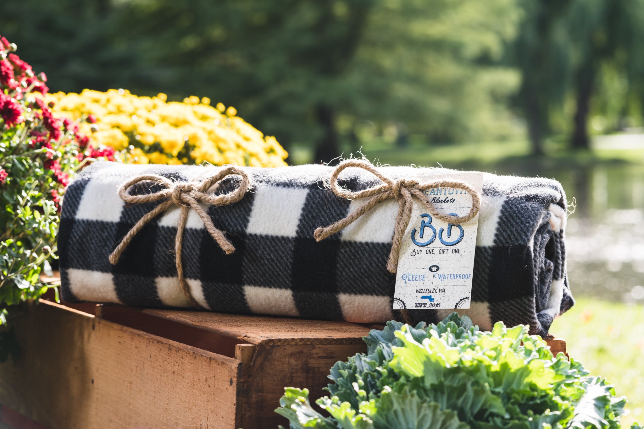 The Black & White Check Beantown Blanket