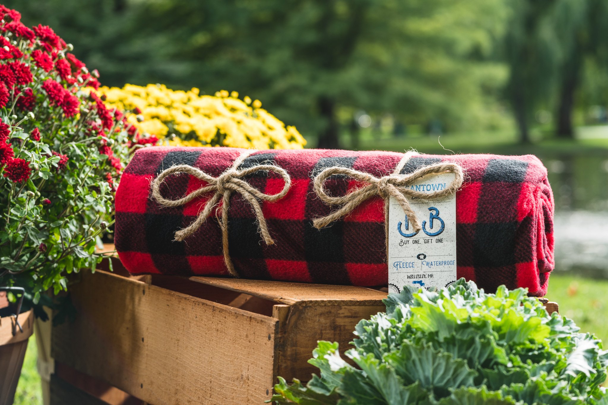 The Red Buffalo Check Beantown Blanket